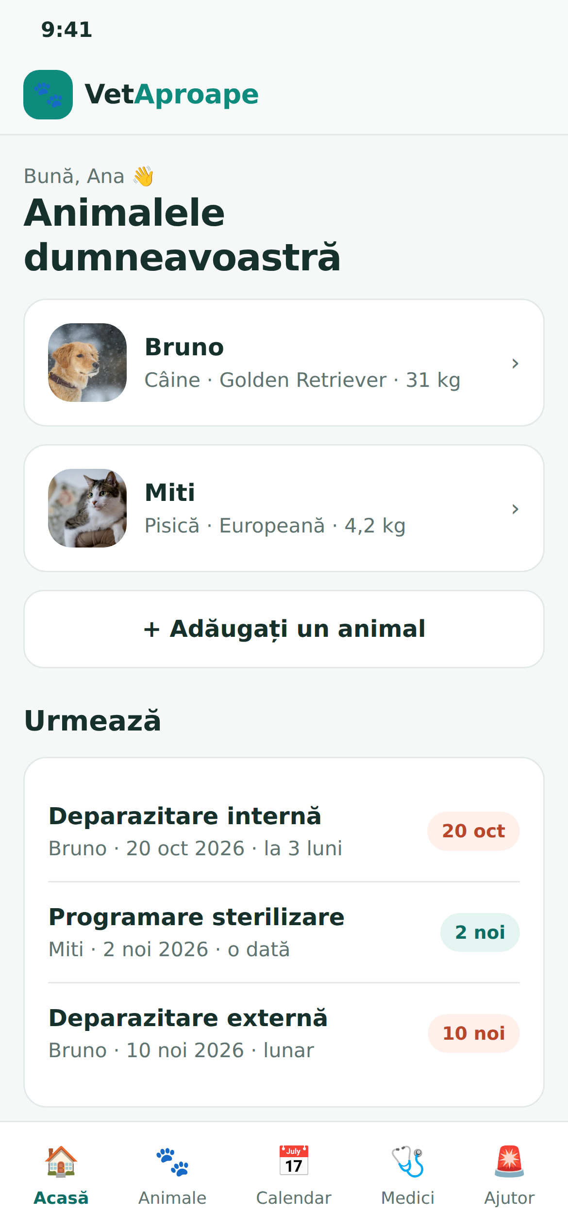 Ecranul principal al aplicației